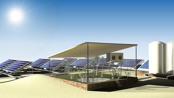 Hệ thống pin năng lượng mặt trời sản xuất nước trồng cây