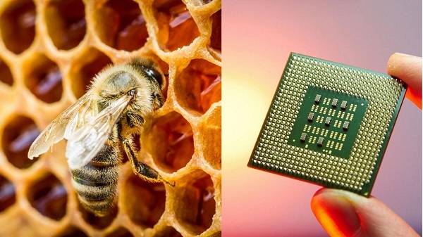 Nghiên cứu sử dụng mật ong để sản xuất chip máy tính