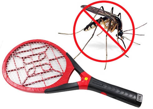 Một vài biện pháp diệt muỗi hiệu quả