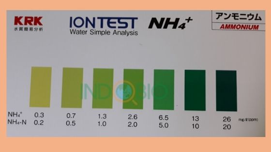 Bộ test Amoni NH4 WIT-NH4 kiểm tra nhanh NH4 trong nước thải