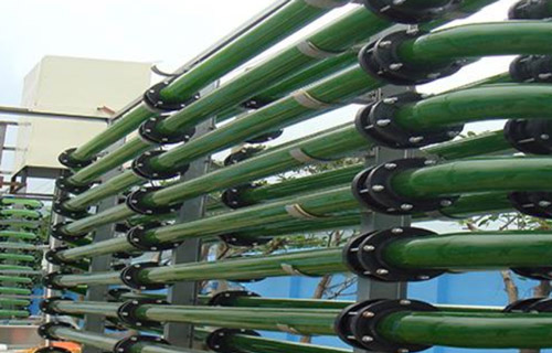 Hệ thống nuôi trồng tảo Spirulina Platensis bể kín dạng ống