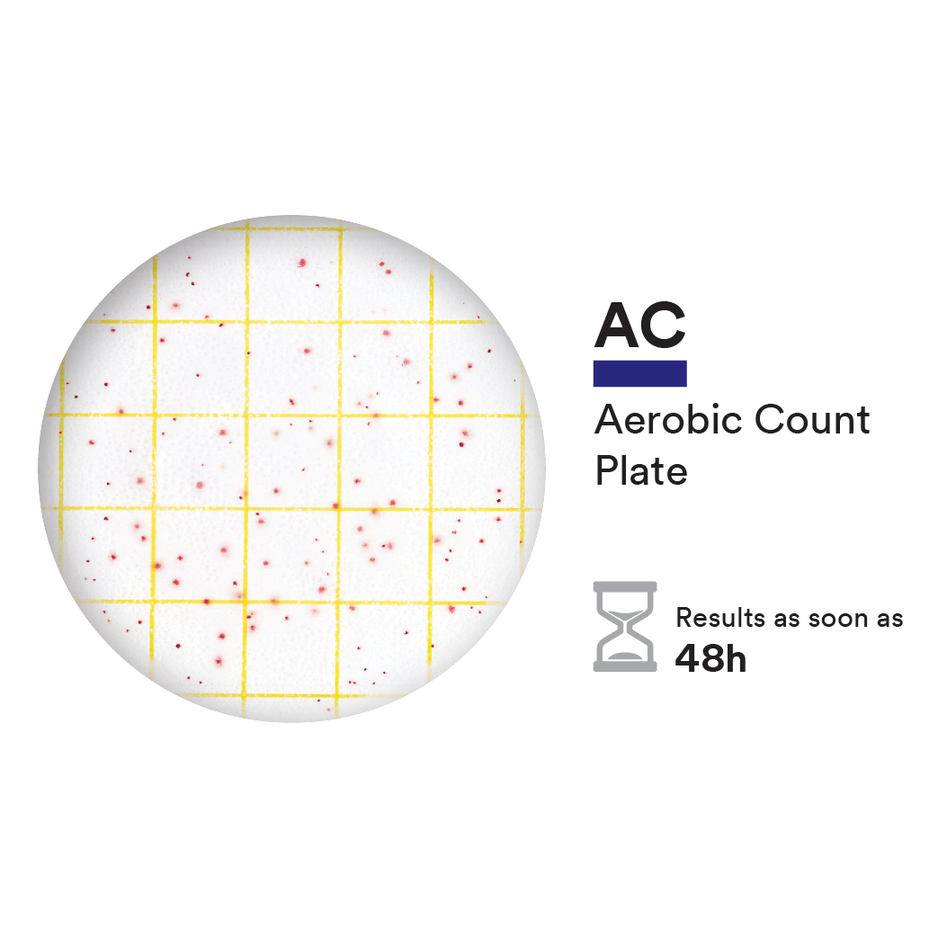 Đĩa Petrifilm kiểm tổng khuẩn hiếu khí 3M, 6400-6406, hộp 100 đĩa