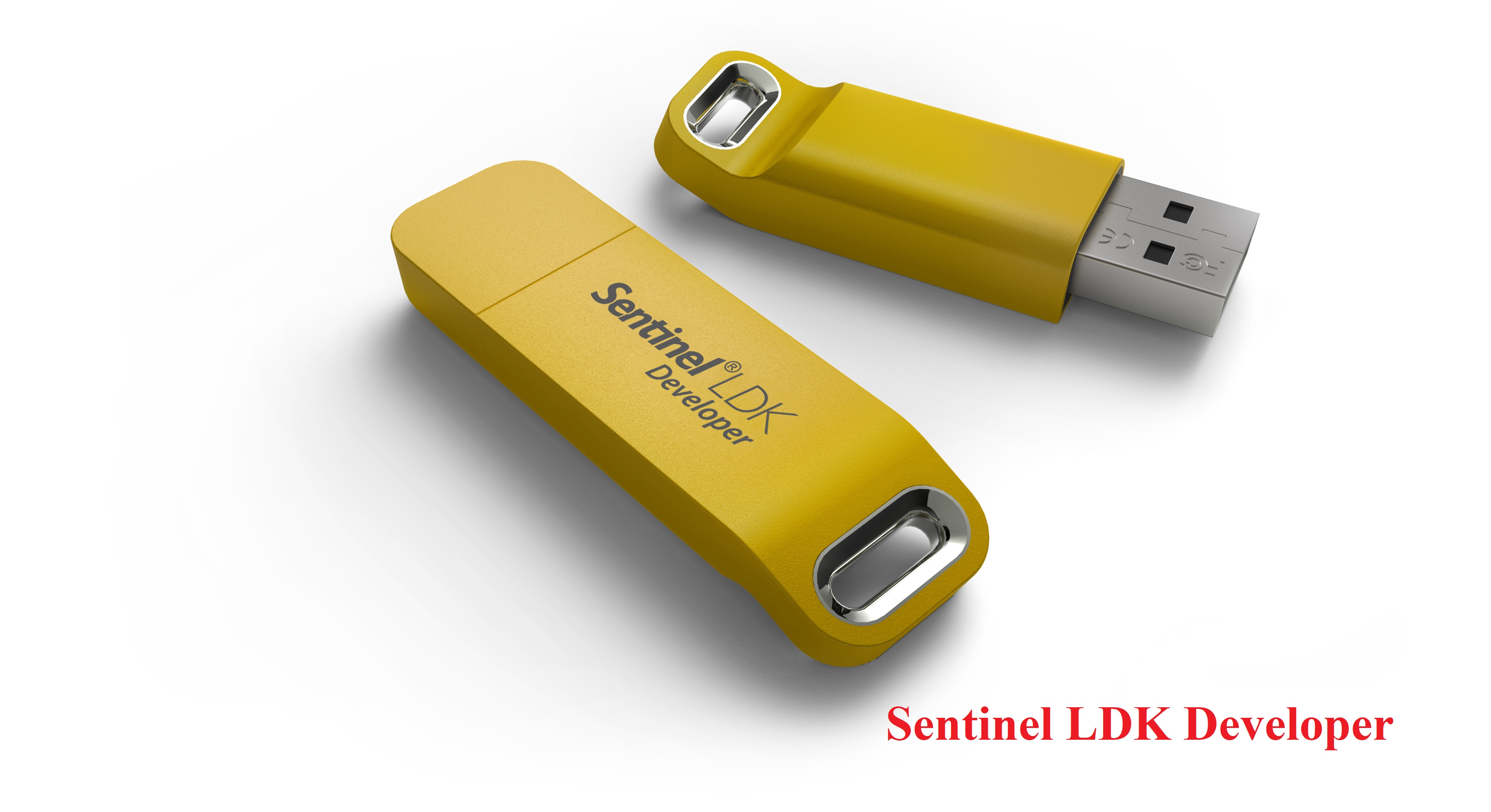 Sentinel LDK Starter Kit (Usb dongle)
