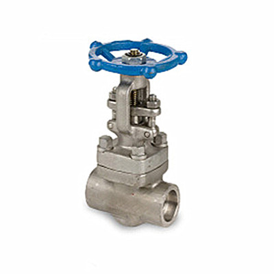 Forged Stainless Steel Gate Valve