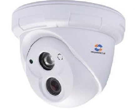 Camera Dome hồng ngoại led ARRAY cảm biến CCD