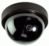 Camera bán cầu mầu Dmax DCC-520D
