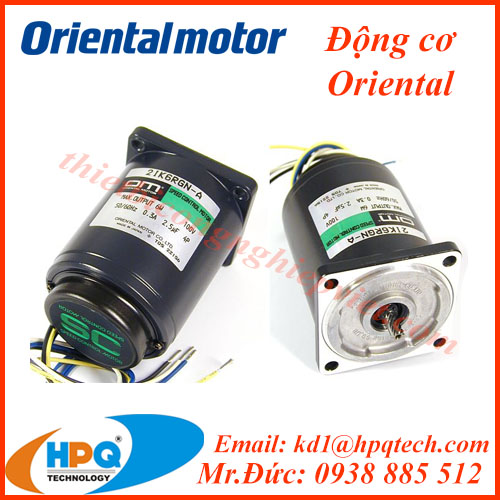 Nhà phân phối động cơ điện Oriental | Oriental Việt Nam