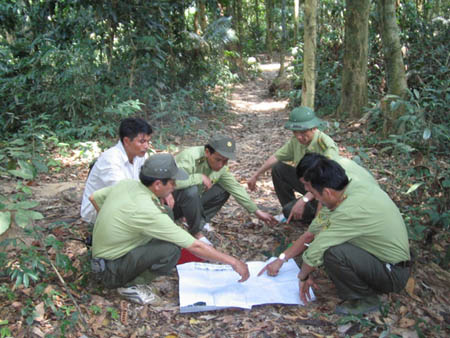 Ứng dụng công nghệ hiện đại quản lý rừng